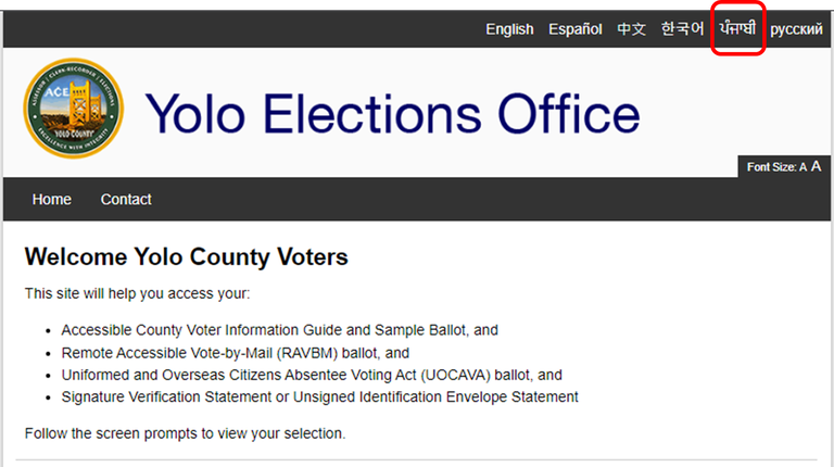 Translated Ballot 1 - Punjabi